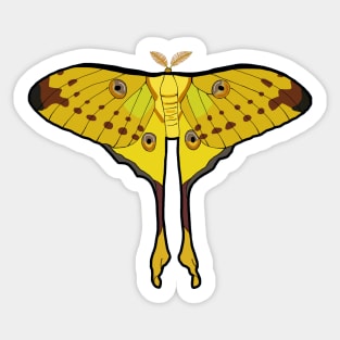 Comet Moth of Madagascar Sticker